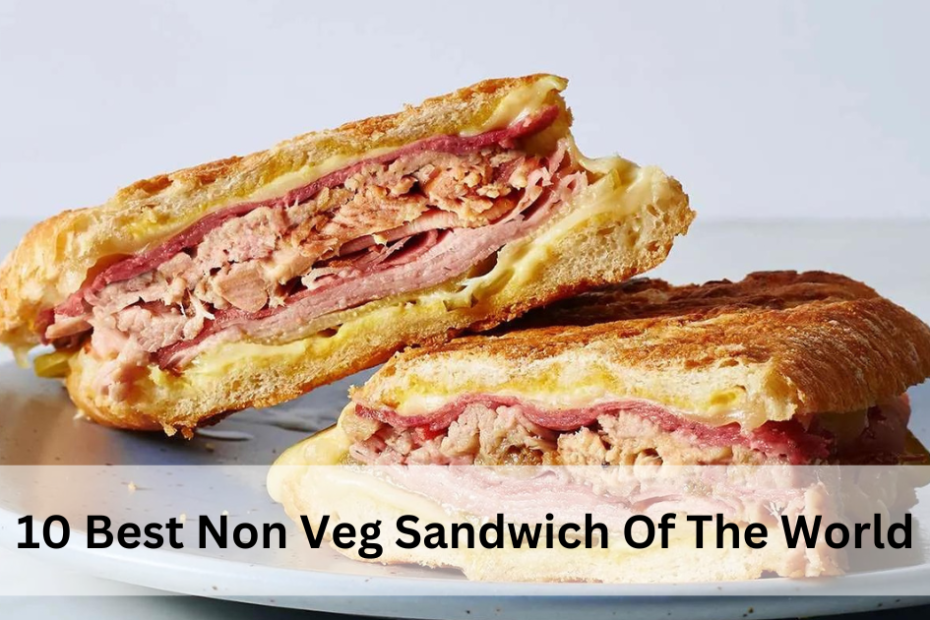10 Best Non Veg Sandwich Of The World