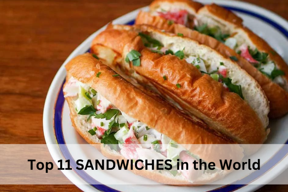Top 11 SANDWICHES in the World